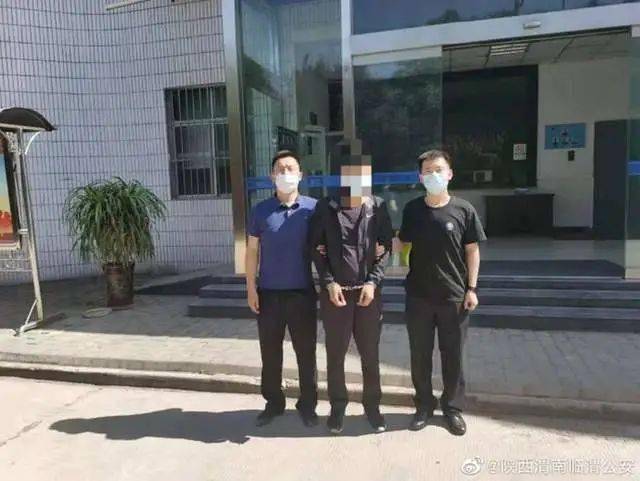 日本旅行最新政策，科技重塑旅行体验之旅