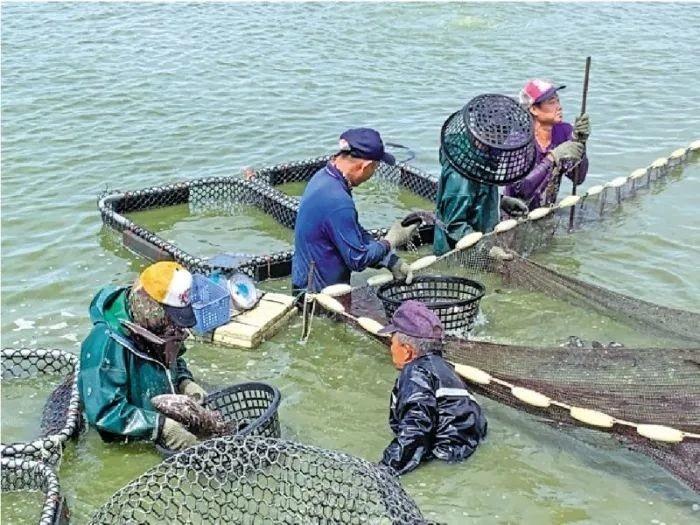 海关最新消息，高科技产品引领潮流，全新体验改变生活