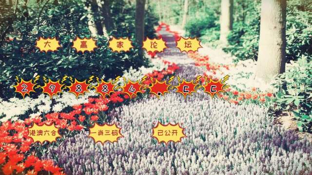 贞硕商显智能科技 第500页