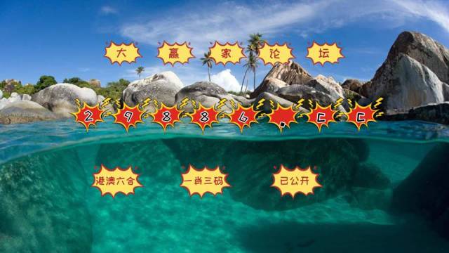 新澳门六开彩天天开,专家解说解释定义_紧凑版56.974
