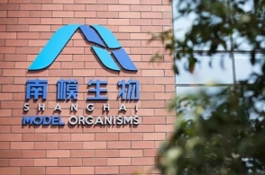 瑞普生物最新动态揭秘，小巷中的隐藏瑰宝