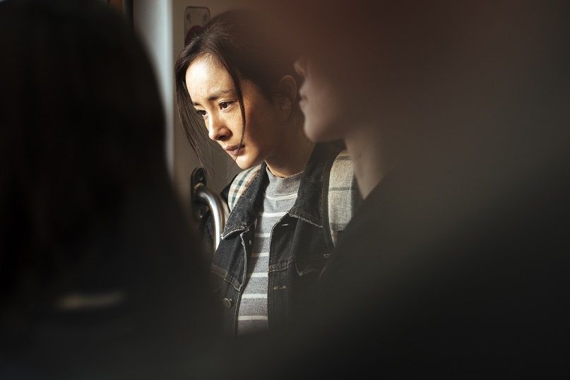 赵寅成最新电影，探索自然美景的治愈之旅，内心平和宁静的追寻