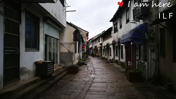 高伟达最新消息揭秘，小巷中的独特美食探险之旅