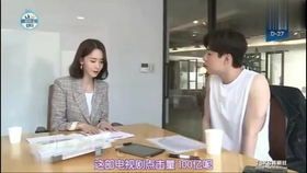 我独自生活最新一期，现代独居生活的价值与挑战探讨