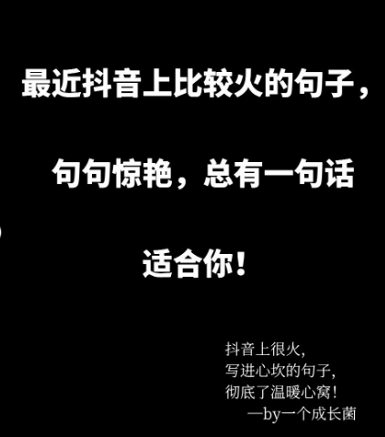 网红最新句子，潮流风向与大众心声的心声共鸣