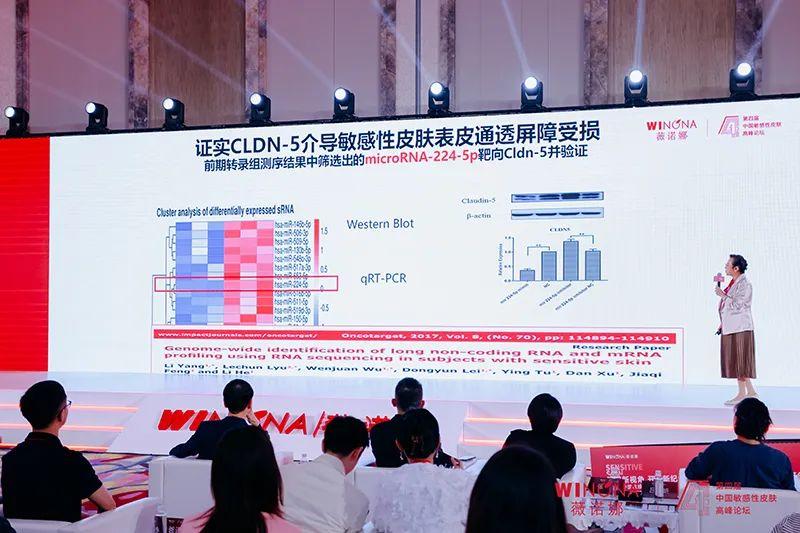 迷你世界最新皮肤探索，高科技魅力的探险之旅