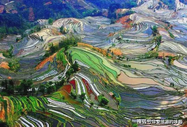 四川疫情肺炎最新动态与大自然美景之旅启程通知