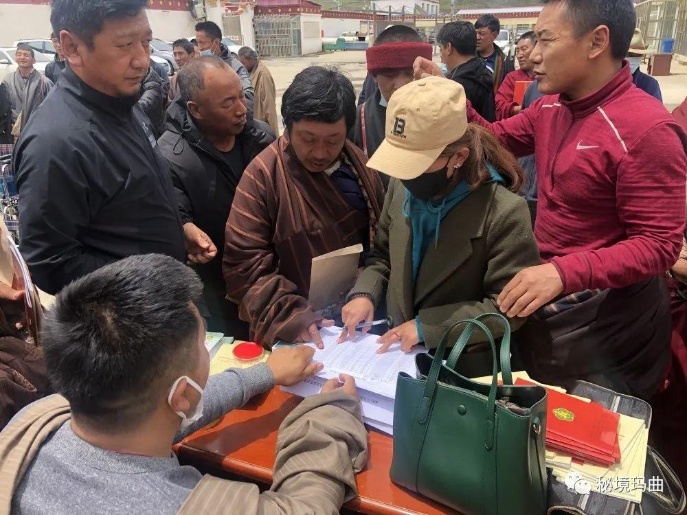 全面禁牧最新动态，重塑生态平衡与可持续发展战略启动