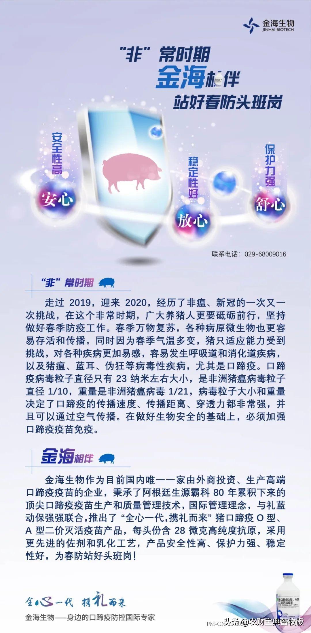 全球视野下的心冠病毒最新动态与未来抗疫展望