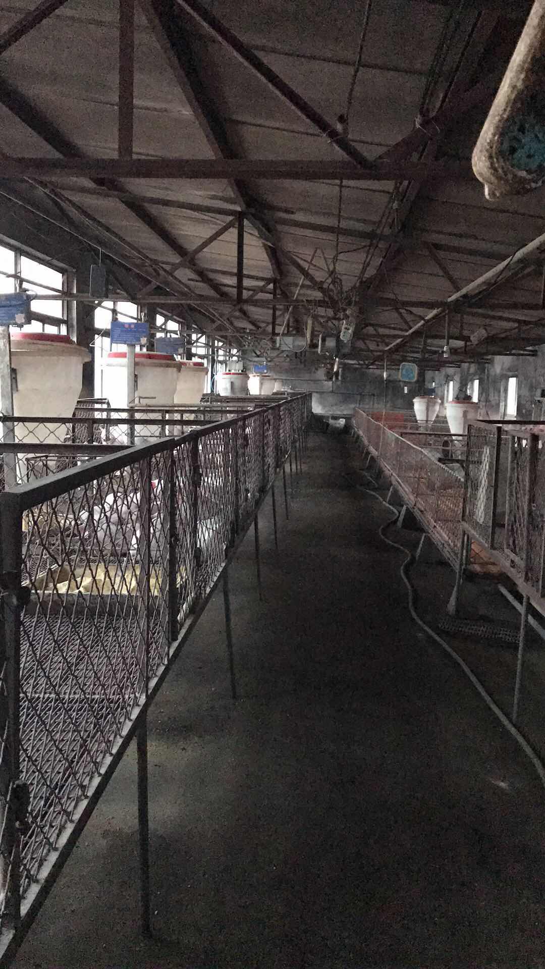 贞硕商显智能科技 第154页