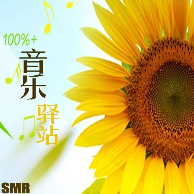 最新电台音乐，自然美景的心灵之旅之旅