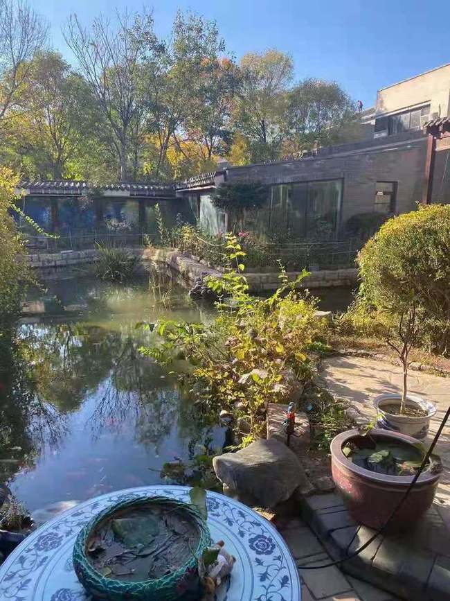 西安最新房产拍卖，时代印记与城市脉动同步前行