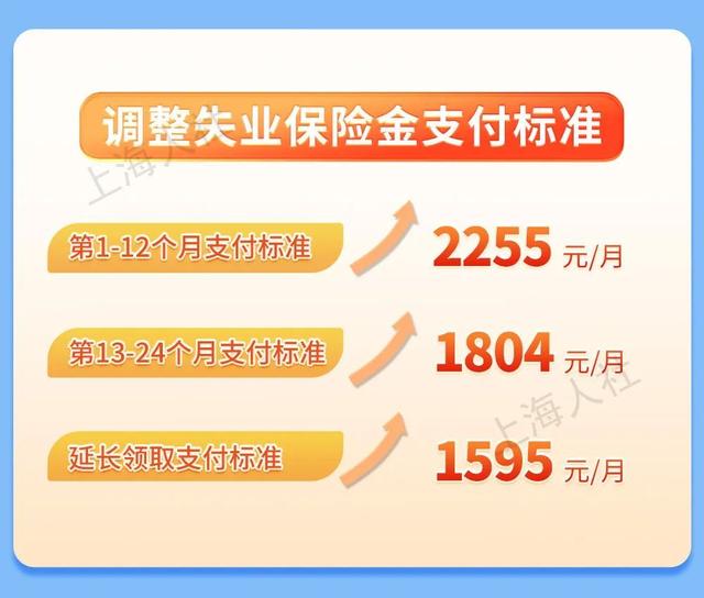 保险最新资讯大全，全面指南与步骤详解