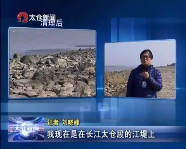 太仓垃圾事件揭秘，友情、陪伴与日常的小趣事最新报道