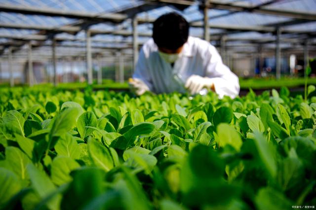 新农开发最新动态，科技革新引领未来新生活