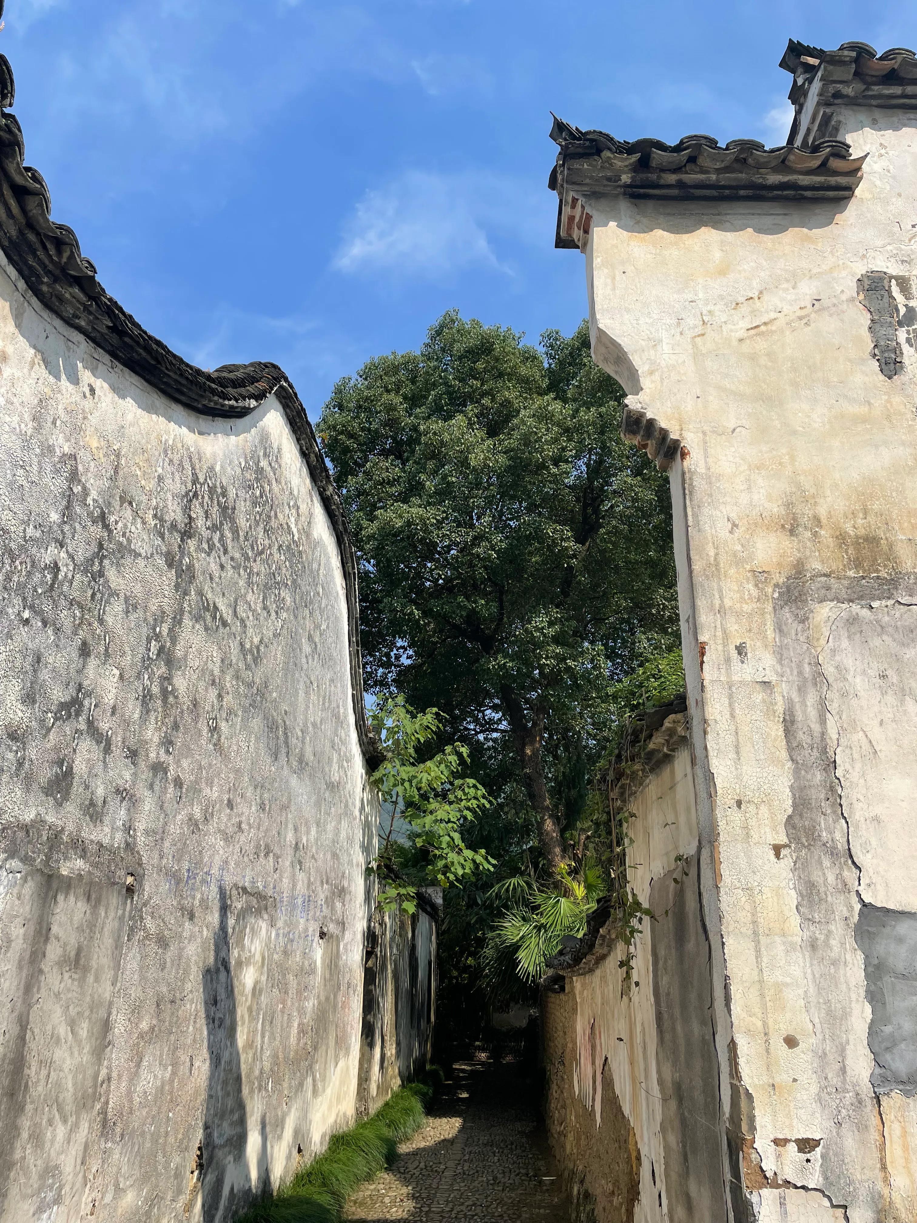 科技引领